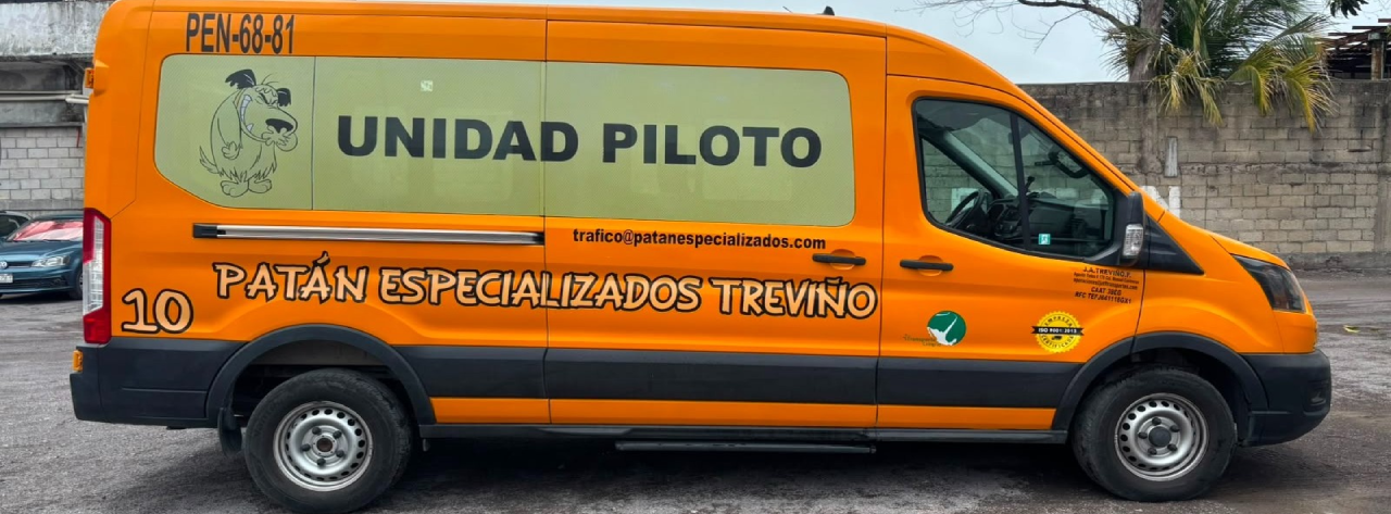 Piloto Transportes Treviño