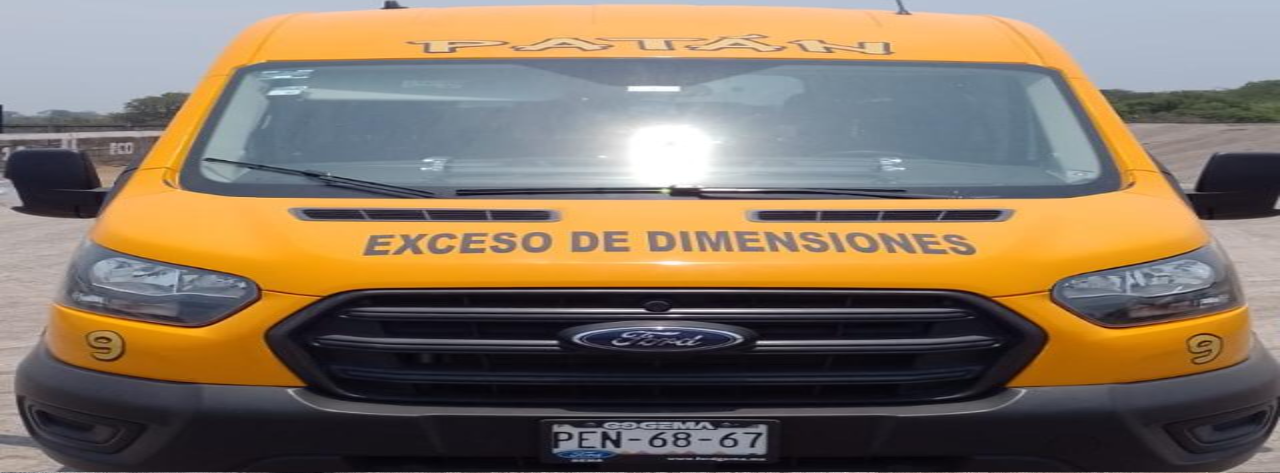 Piloto Transportes Treviño